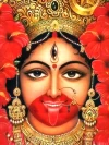 Furnato | Beautiful Poster of Maa Tara | P193 | Adhesive Poster | 12 Inch X 16 Inch