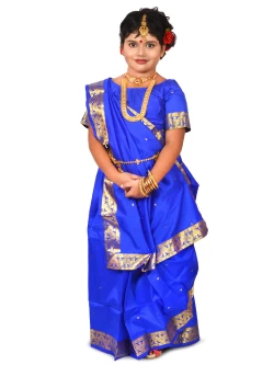 PIPILIKA Embroidered Chinnalapattu Pure Silk Saree | 102 | Blue